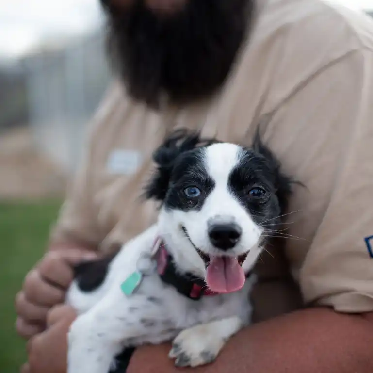 Dog in arms of bearded man